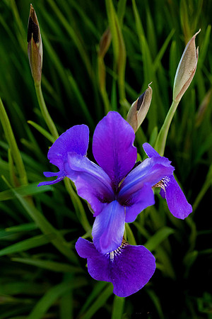 Home -220521-27-Edit.jpg