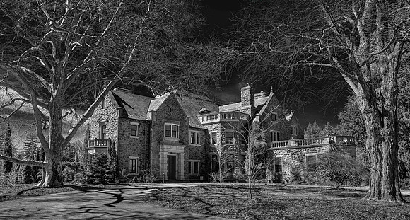 Stoneleigh-250319-5-2-Edit-2.jpg