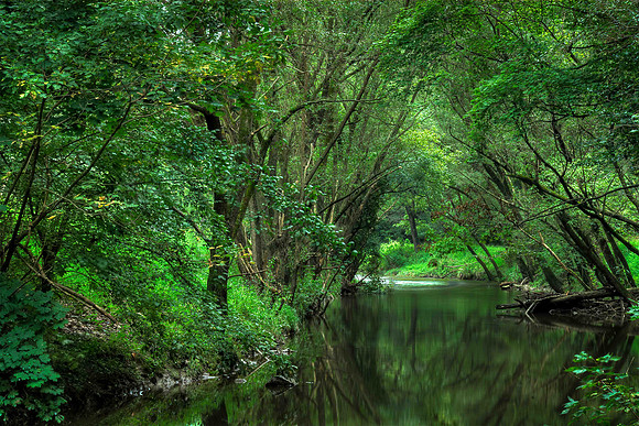 20090822-20090822-Valley Creek as Smart Object-1PSPS-Edit-2.jpg