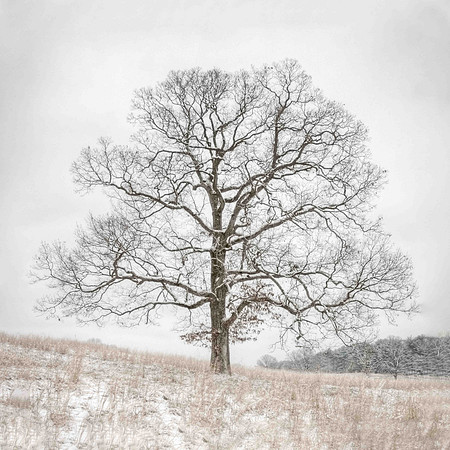20091231_0053And7more_tonemapped as Smart Object-2-Edit-Edit.jpg